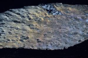 Cross Polarized, S69312