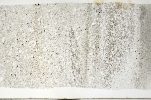 Plane Polarized, S69314