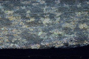 Cross Polarized, S69315