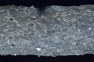 Cross Polarized, S69316