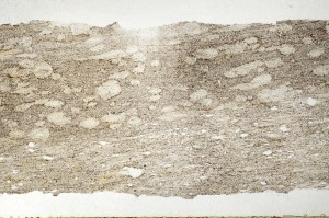 Plane Polarized, S69316