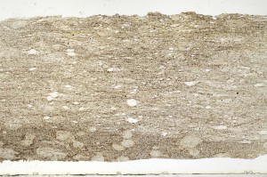 Plane Polarized, S69317