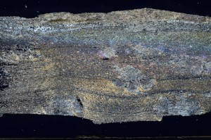 Cross Polarized, S69319