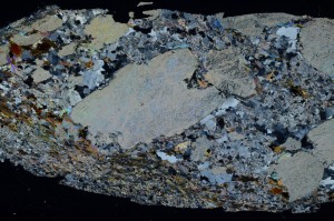 Cross Polarized, S69327