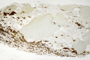 Plane Polarized, S69327