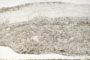 Plane Polarized, S69330