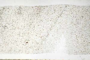 Plane Polarized, S69331