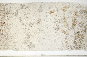 Plane Polarized, S69335