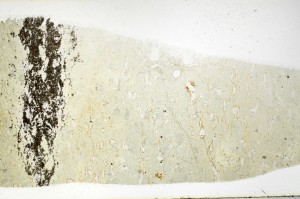 Plane Polarized, S69336
