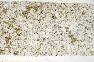 Plane Polarized, S69340