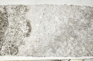 Plane Polarized, S69342