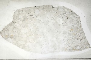Plane Polarized, S69342/B