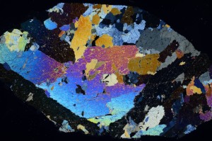 Cross Polarized, S69348