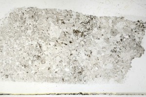Plane Polarized, S69350