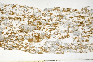 Plane Polarized, S69352