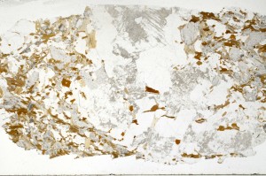 Plane Polarized, S69354