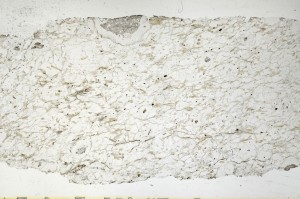 Plane Polarized, S69355