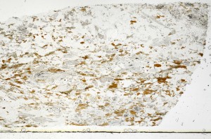 Plane Polarized, S69357