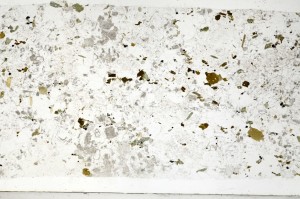 Plane Polarized, S69435