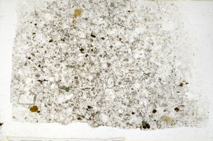 Plane Polarized, S69439