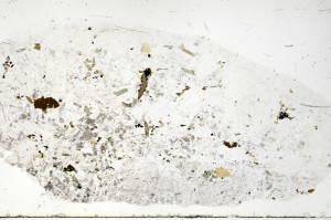 Plane Polarized, S69440
