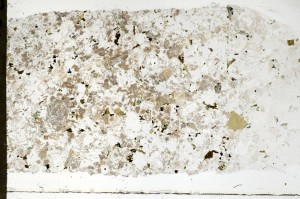 Plane Polarized, S69449