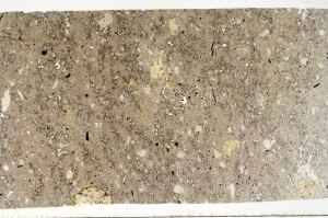 Plane Polarized, S69458