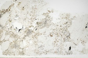 Plane Polarized, S69588