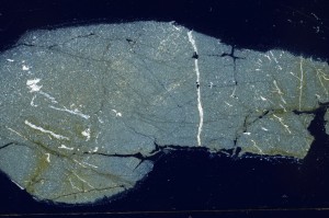 Cross Polarized, S69599