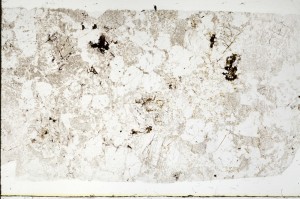 Plane Polarized, S69610