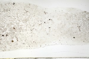 Plane Polarized, S69611