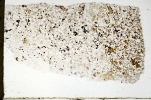 Plane Polarized, S69612