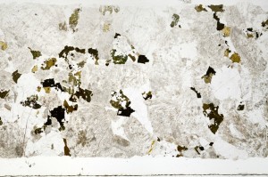 Plane Polarized, S69613