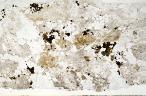 Plane Polarized, S69615