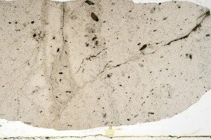 Plane Polarized, S69623