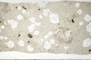 Plane Polarized, S69624