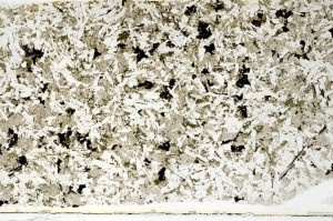 Plane Polarized, S69625
