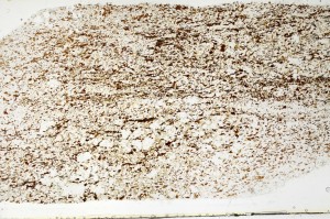 Plane Polarized, S69627