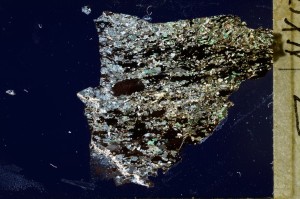 Cross Polarized, S69697