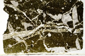 Plane Polarized, S69700