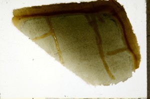 Plane Polarized, S69706