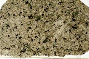 Plane Polarized, S69721