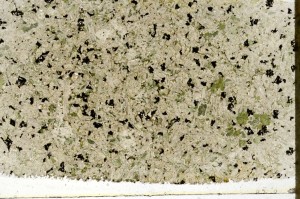 Plane Polarized, S69722