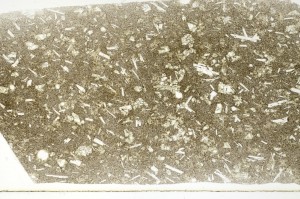 Plane Polarized, S69726