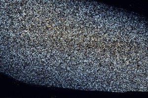 Cross Polarized, S69756