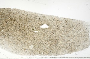 Plane Polarized, S69757