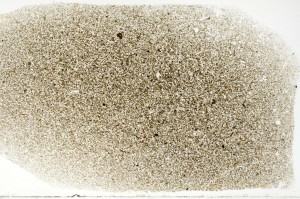 Plane Polarized, S69758