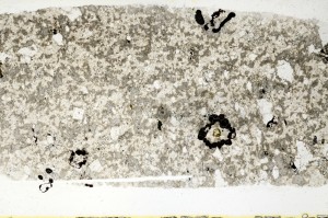 Plane Polarized, S69761