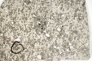 Plane Polarized, S69761/A