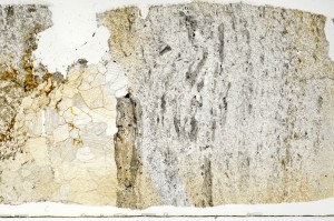 Plane Polarized, S69771